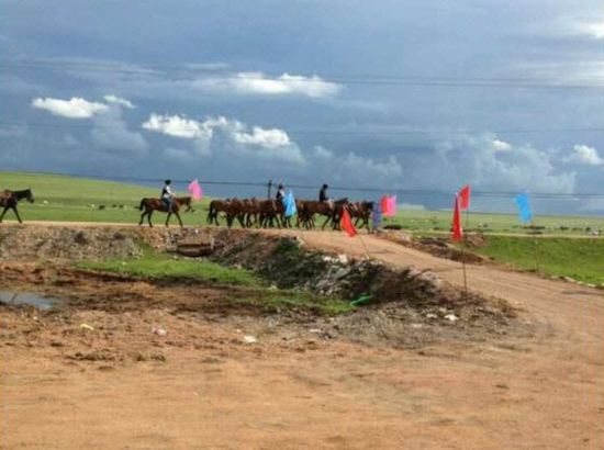 楪可怜番号排行榜 方便影迷交流与追踪海报