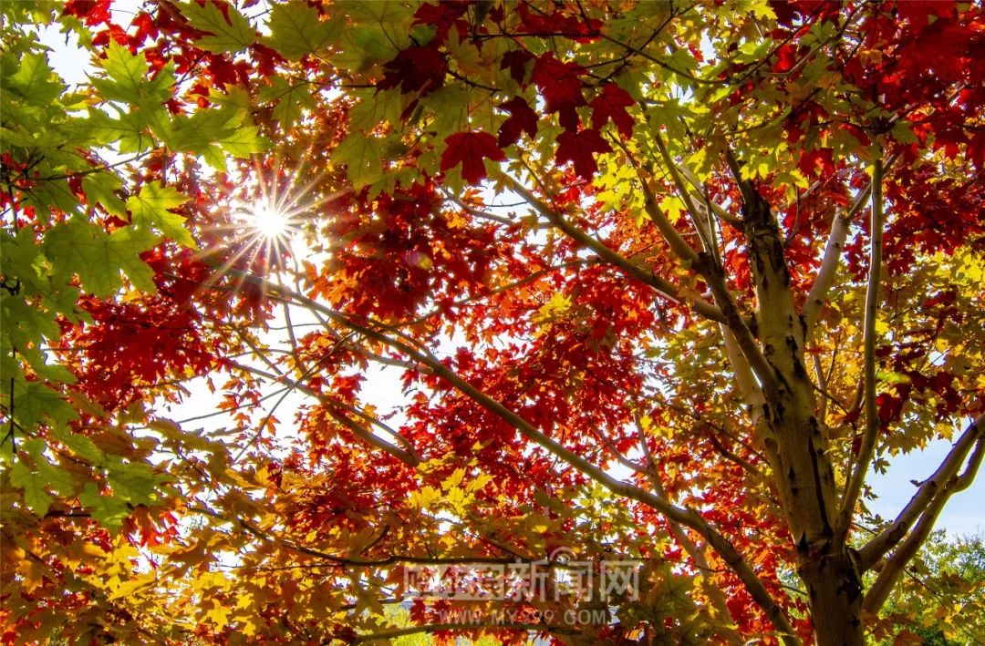 任你干在线精品视频网2 这让发现好内容的任干过程