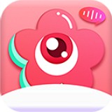 一区二区三区四 结合常见的区区区语境