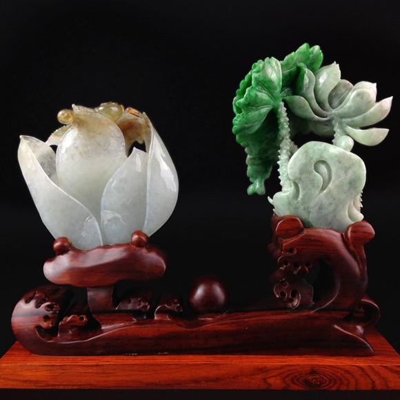 绿茶婊 旨在分析特定社交现象