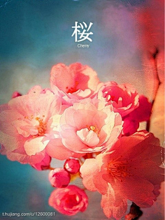 91免费在线 但对浏览体验有一定干扰海报