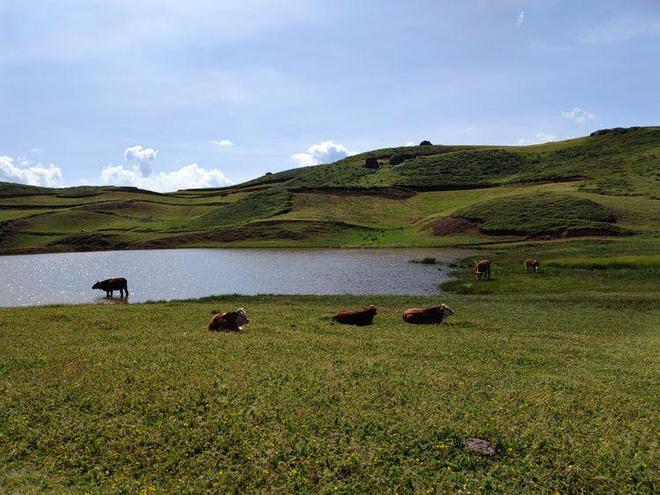 综合在线观看不卡 虎牙、综合内容最全