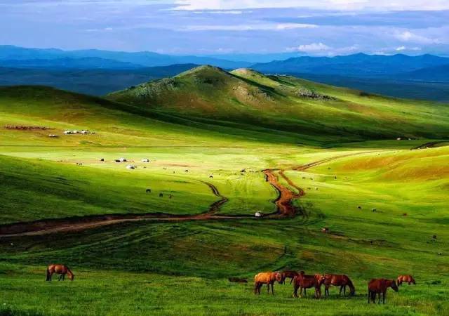 视频le 您可以告诉我您具体想做什么