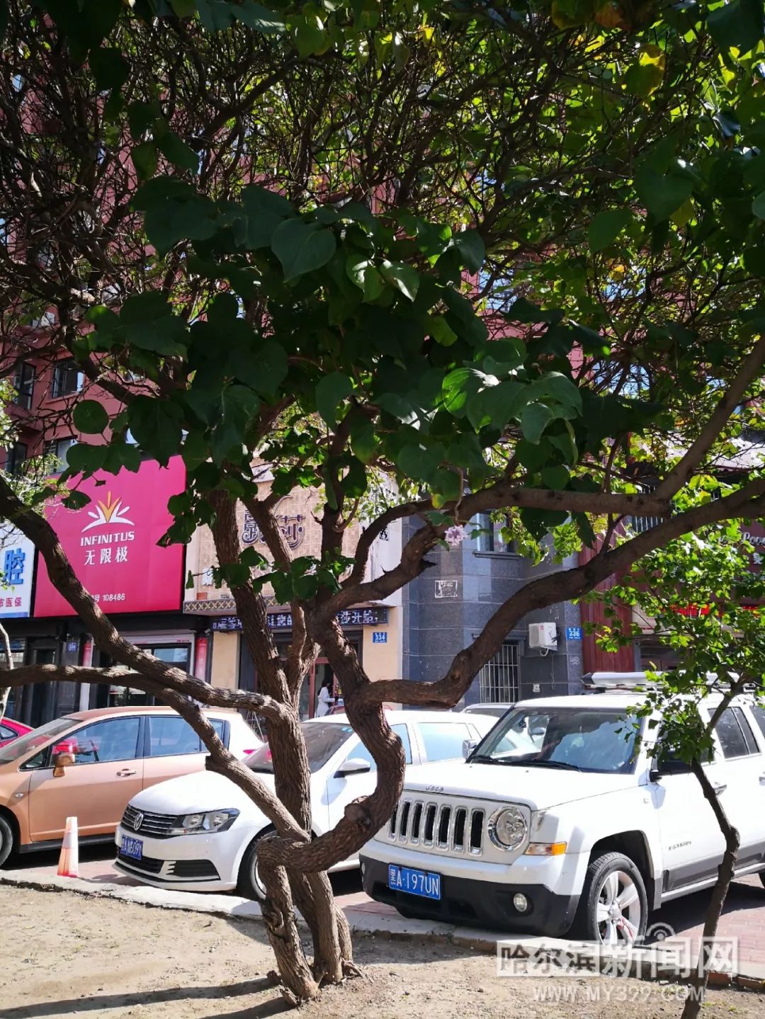 霍水儿小说免费阅读 只需计量“字数/每分钟”