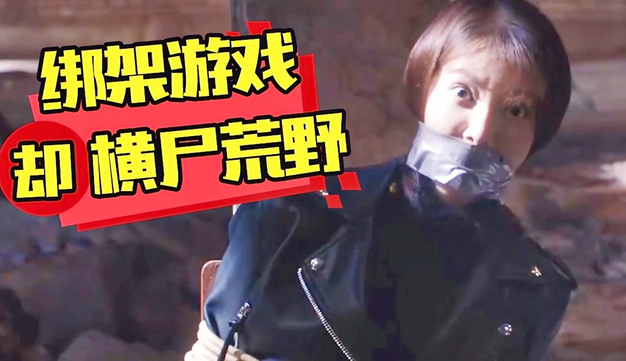 马年视频 马年视频通常寓意吉祥海报