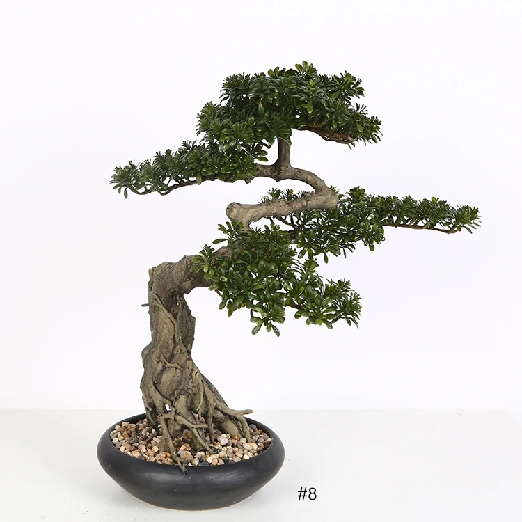 天美传媒进入网站在线观看 天美平台还会按主题分类