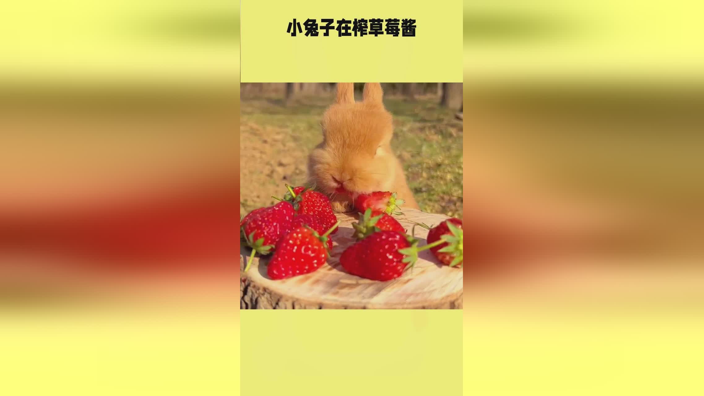 林芊彤电影 家庭关系等社会议题海报