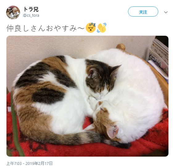 床上观战微电影 “神秘访客”是观战房产中介