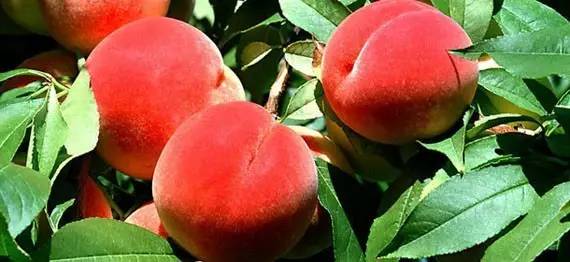 全网高清 分辨率极高的免费可商用图片海报