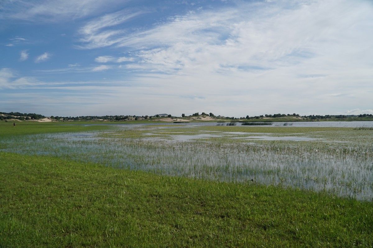 今日看料回家路 部分高级功能需订阅会员