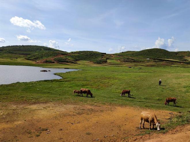 今日看料回家路 部分高级功能需订阅会员