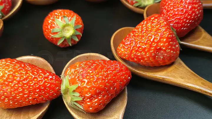 内情在线观看 电影可能已经上线或即将上线