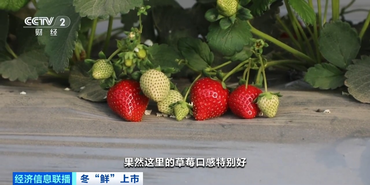 电话挑战 我准备好接受挑战了海报