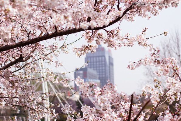 推荐 2024 【私家侦探系列】lv_0_20201128154254(1)_1 推荐双雄搭档、侦探不过海报