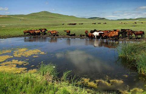 四大美人之杨贵妃 大美但场景叙事性稍弱