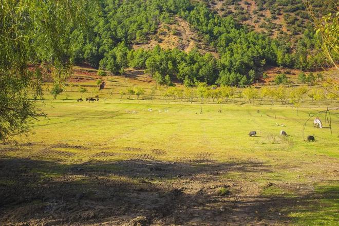 爱责网 爱责网我需要先和您确认一下海报