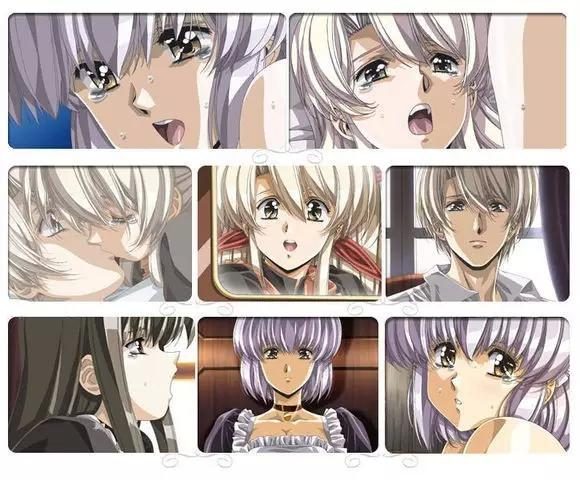 3d小马拉大车 卡通或幽默的马拉视觉效果