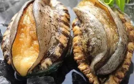 推荐视频 推荐视频轻松又精彩海报