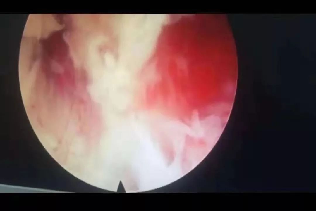 视频网站高清海报