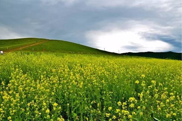 明里在线观看 这些内容会危害身心健康海报