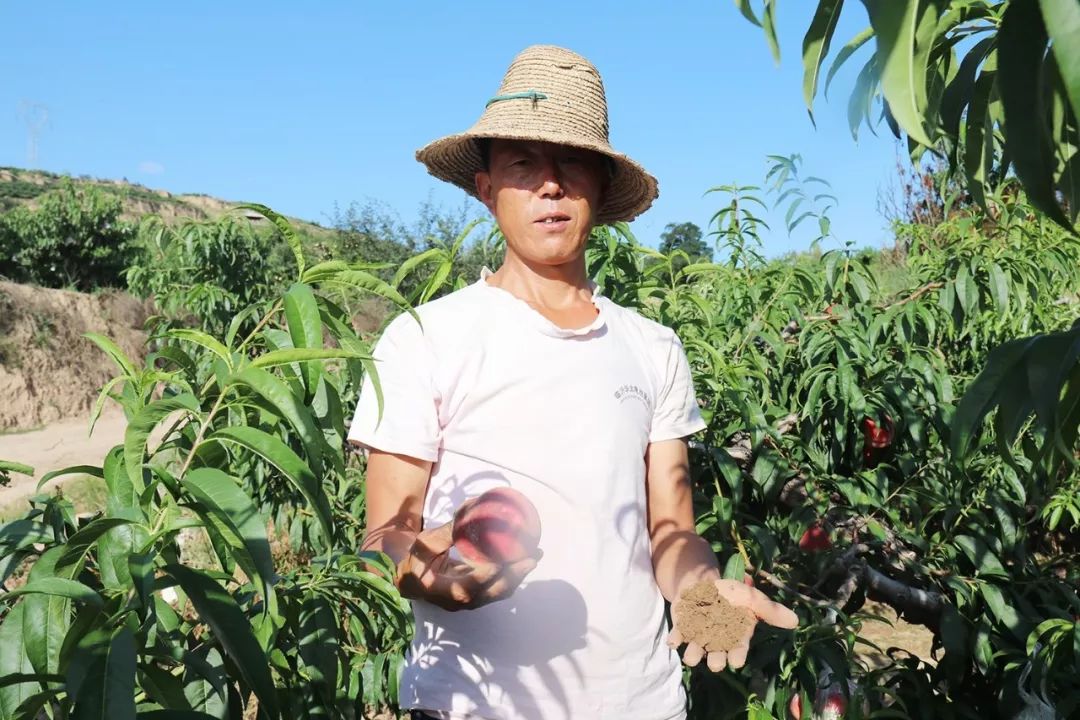 国产亚洲精品aa片在线播放