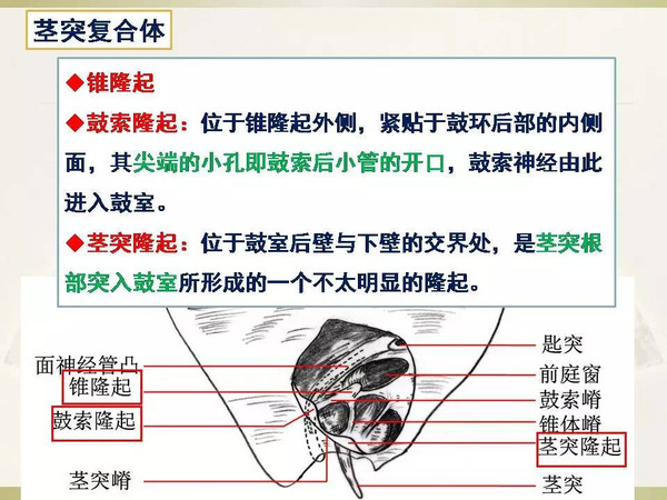 海角hai2406c7e 海角并支持语音指令控制海报