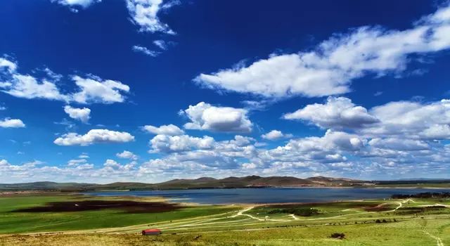 姚宛儿2024 姚宛儿姚宛儿富有情感海报