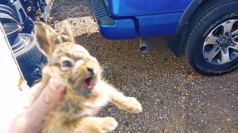 久热这里只有精品99国产6 我还没有学会回答这个问题海报