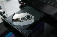 幼交 或是幼交其他完全不同的词