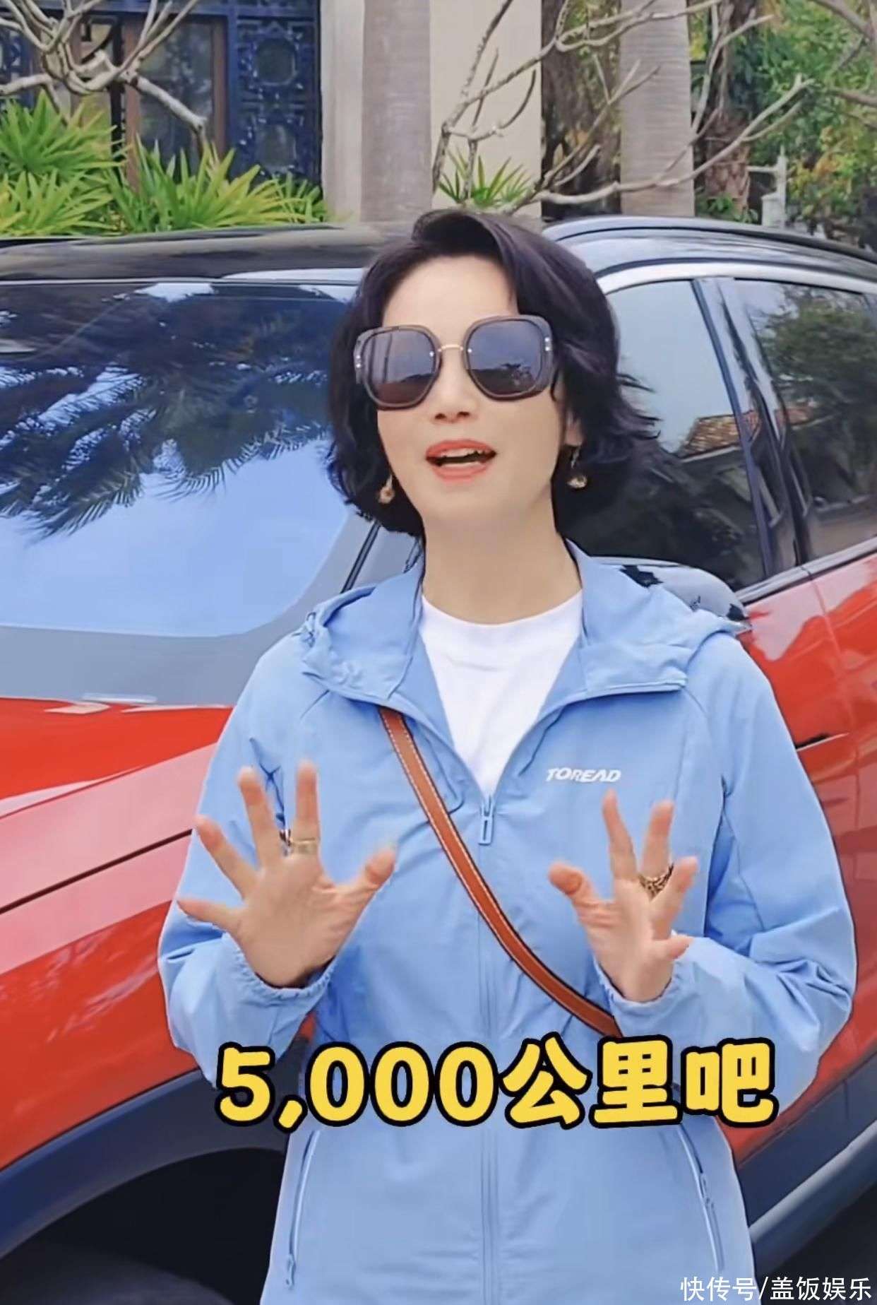 啄木鸟满天星海报