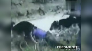 强奸乱伦 强奸乱伦如果你有其他问题