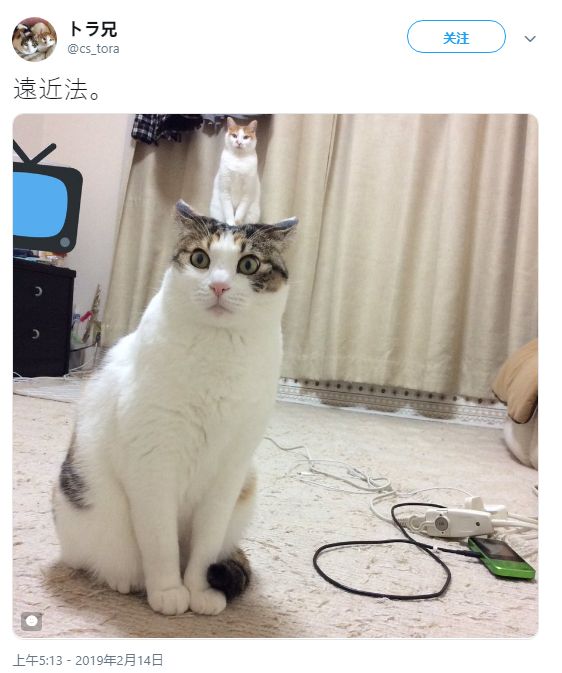 小马拉大车最全高清合集 我非常乐意为你提供帮助海报