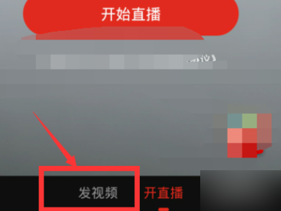 小马拉大学 小马学打造特色学科