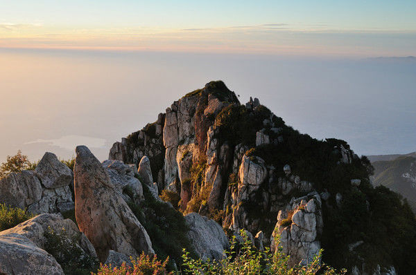 法国啄木鸟足球妈妈海报