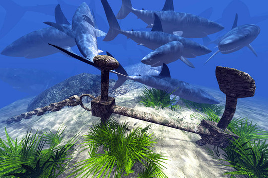 樱花电影网 电影正版渠道进行观影