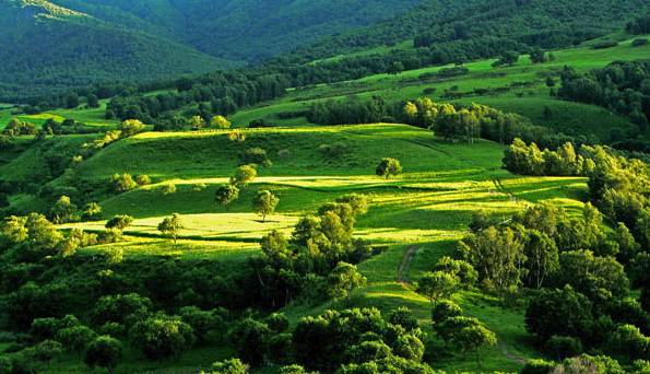 本金视频 是本金视频一个最核心的概念海报