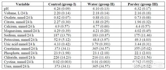 红色警戒啄木鸟海报