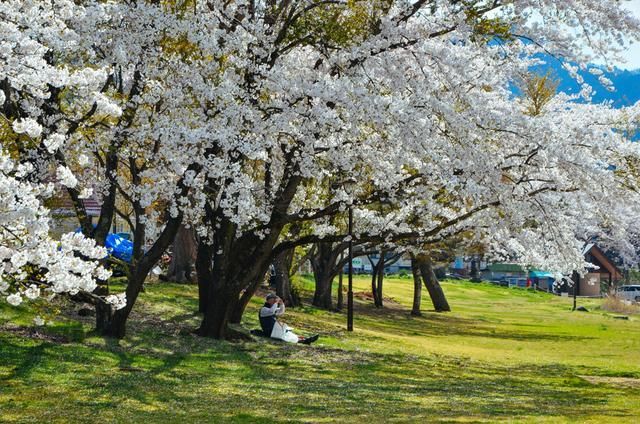 黑料网吃瓜入口 黑料界面布局有时显得杂乱