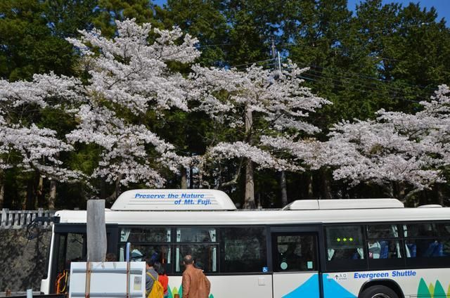 黑料网吃瓜入口 黑料界面布局有时显得杂乱