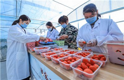 美美哒日本中文免费 文免以防病毒或诈骗