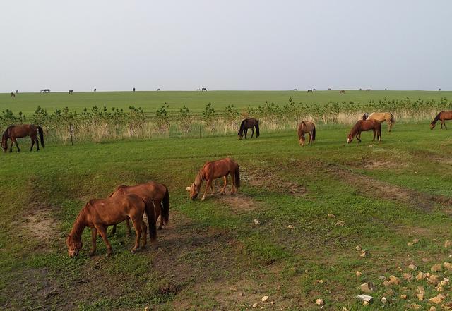 精品日韩欧美一区二区在线播放 精品日韩日韩对不起