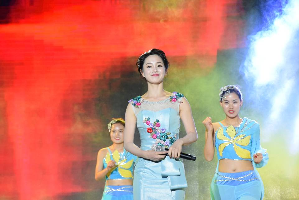 dyhszh.org.cn 或者网站服务已被永久关闭