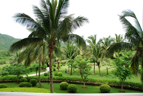 今日大赛吃瓜影视海报