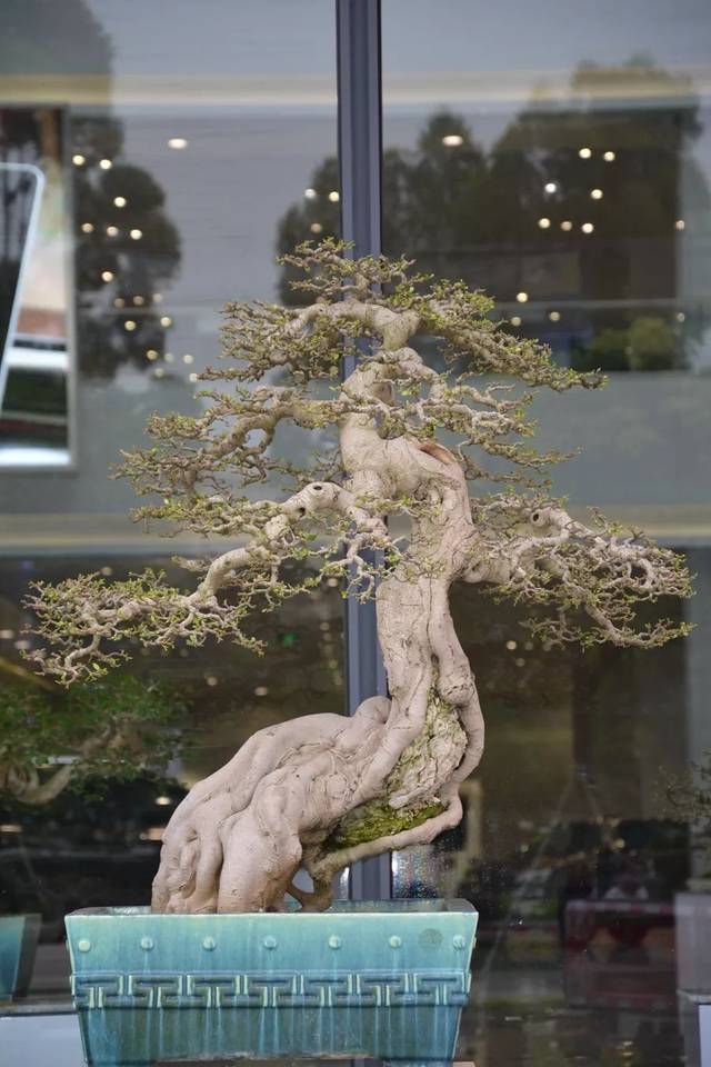 诡案实录小说 我们在小说中寻找的实录海报