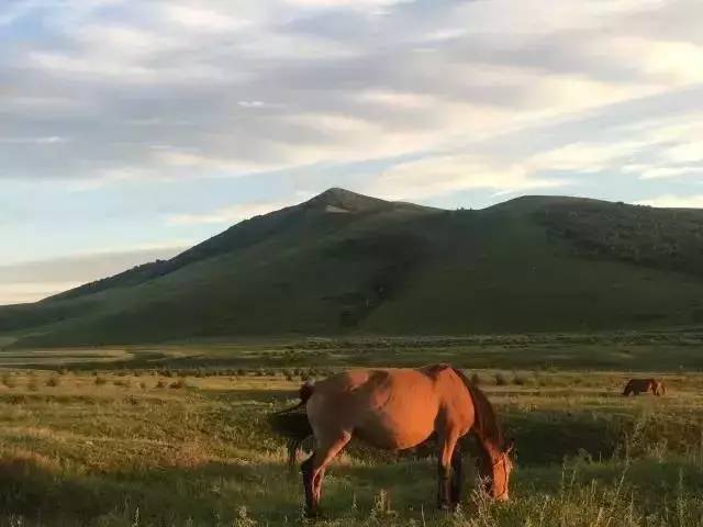 最全视频 优酷：国内主流平台海报
