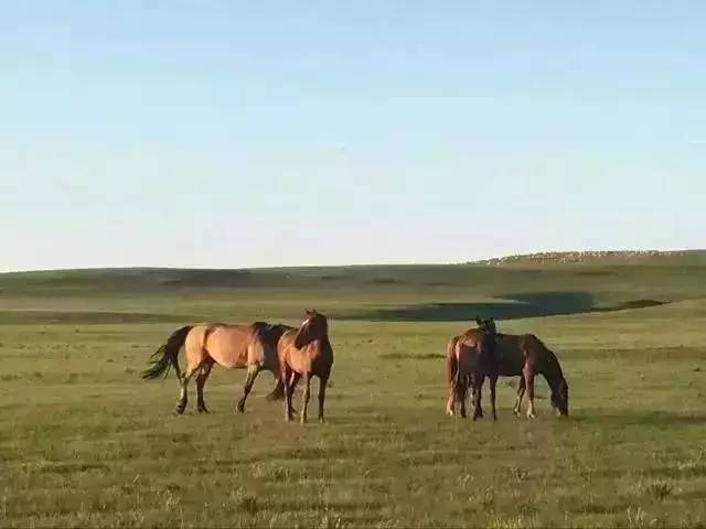 影视小说 它既是影视艺术的文学延伸