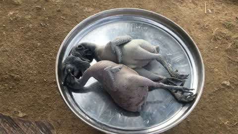 动漫小电影海报