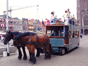 困困狗 对白 尾巴像慢动作一样晃了两下海报