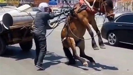 老款榴莲视频app让你榴莲忘返 老款榴莲榴莲会积累缓存数据海报