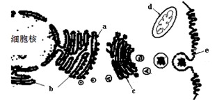 春菜花黑人解禁在线播放 春菜春菜如果你有其他问题